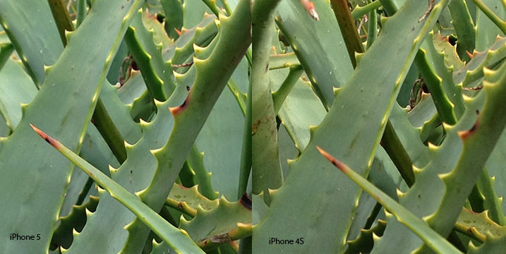 iPhone 5 vs iPhone 4S image comparison, 100% crop iPhone 5, iPhone 5 photo quality