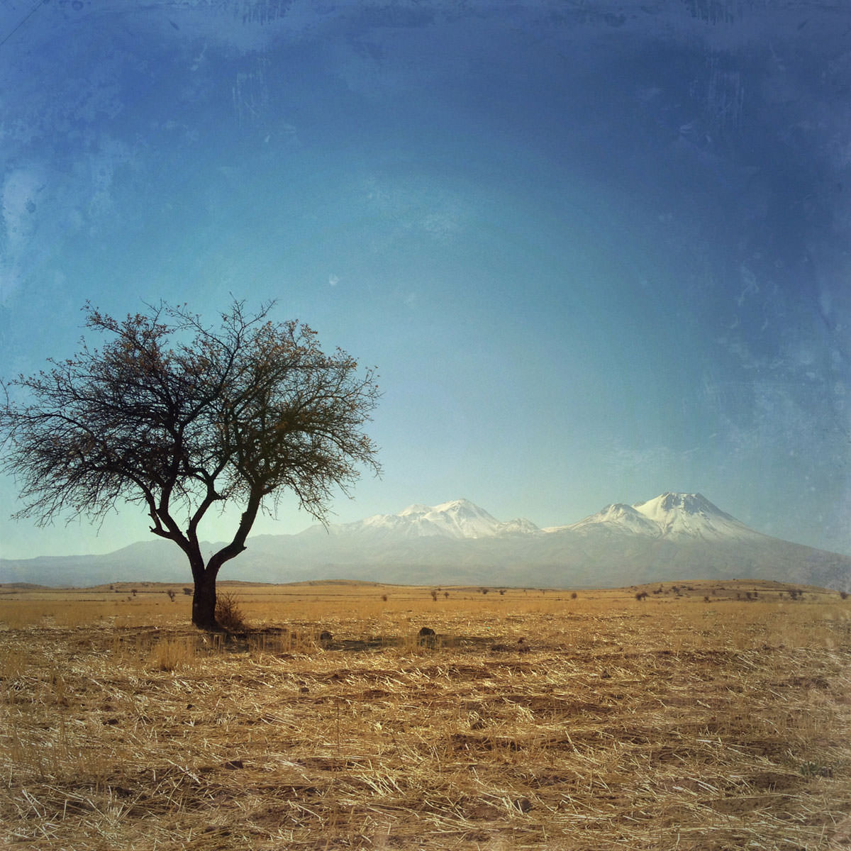 Blogpost: 10 Tips For Taking Stunning Landscape Photos With Your iPhone - Emil Pakarklis
