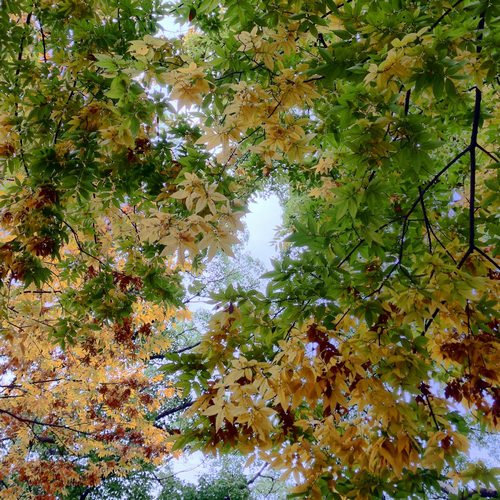 Procamera 8 V6 1リリース 新機能 マニュアルフォーカス搭載でよりコントローラブルに Procamera Hdr Turn Your Iphone Into A Powerful Digital Camera