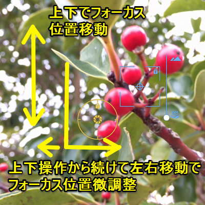 Procameraのススメ キミが主役 のっぺりとした風景からマニュアル操作で主役にビシっとフォーカス Procamera Hdr Turn Your Iphone Into A Powerful Digital Camera Procameraのススメ キミが主役 のっぺりとした風景からマニュアル操作で主役にビシっとフォーカス Procamera Hdr Turn Your Iphone Into A Powerful Digital Camera
