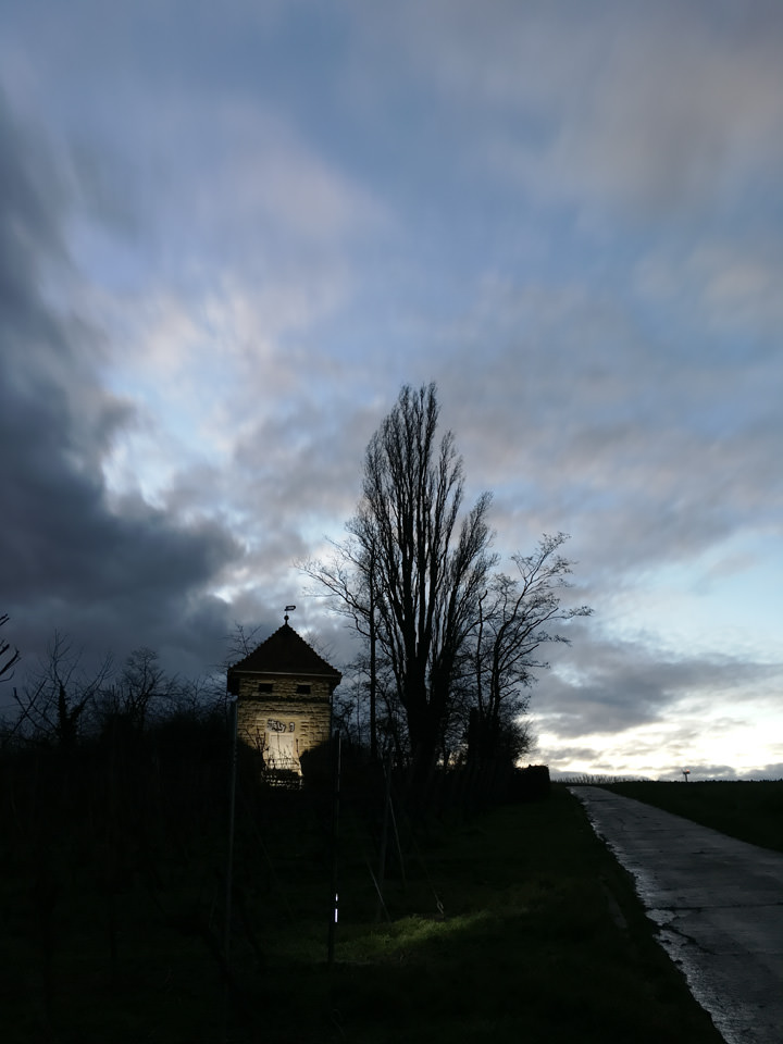 ProCamera LowLight Plus