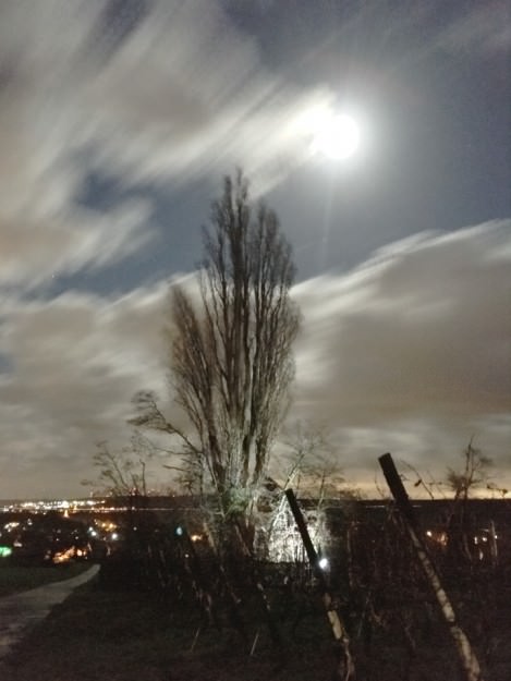 ProCamera low light photo