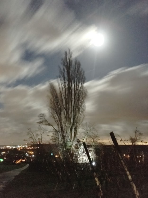 ProCamera low light photo