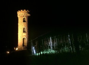 ProCamera low light photo