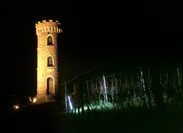 ProCamera low light photo