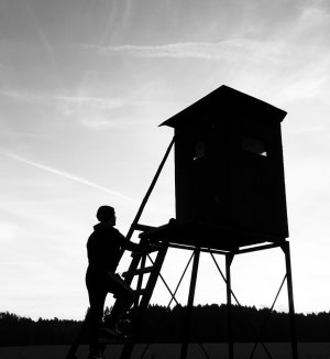 ProCamera low light photo