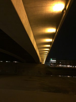 ProCamera low light photo