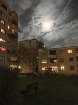 ProCamera low light photo