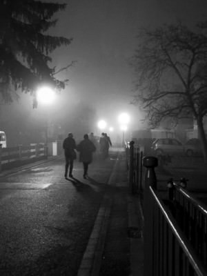 ProCamera low light photo