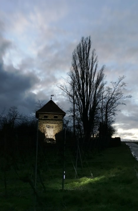 ProCamera low light photo