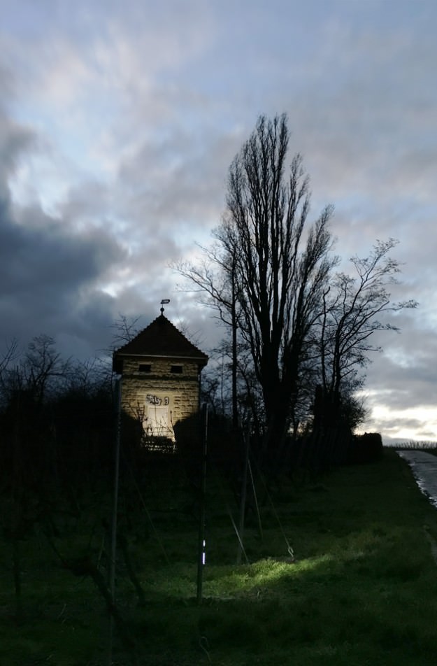 ProCamera low light photo