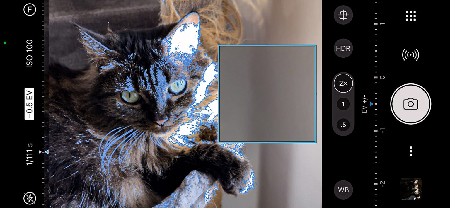 What's New in ProCamera v14.3 ProRAW, RAW, Focus Peaking, White Balance