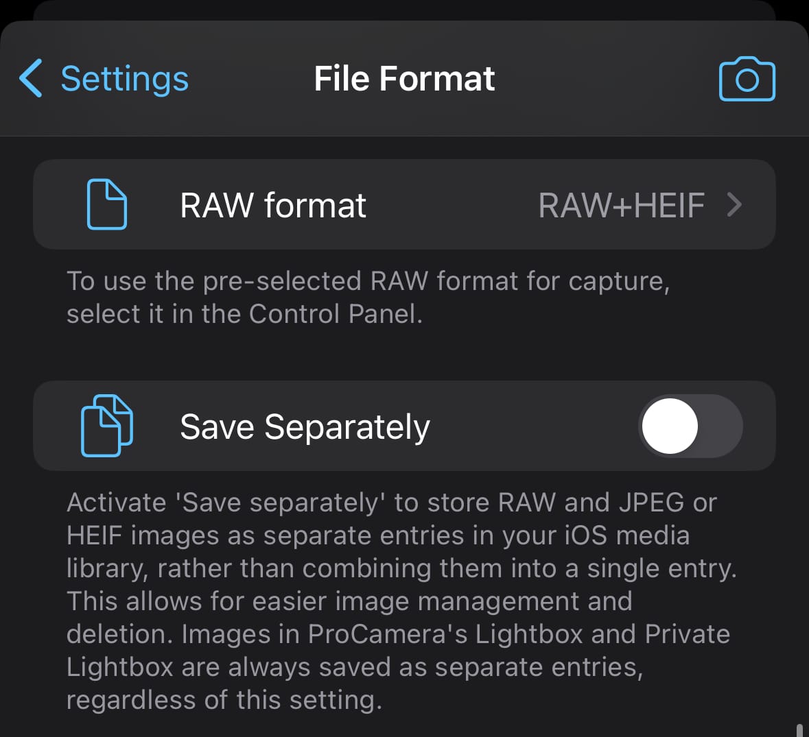 Save RAW and processed file separately
