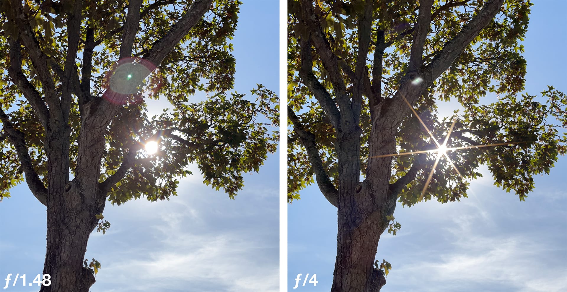 iPhone 18 Pro Sun Star Comparison ProCamera App